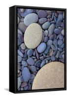 USA, Washington State, Olympic National Park, Rialto Beach, stones-Charles Gurche-Framed Stretched Canvas