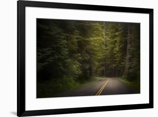 USA, Washington State, Olympic National Park. Road through western hemlock tree forest.-Jaynes Gallery-Framed Photographic Print