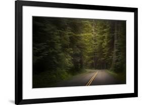 USA, Washington State, Olympic National Park. Road through western hemlock tree forest.-Jaynes Gallery-Framed Photographic Print