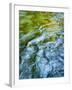 USA, Washington State. Olympic National Park, Sol Duc River abstract-Ann Collins-Framed Photographic Print