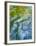 USA, Washington State. Olympic National Park, Sol Duc River abstract-Ann Collins-Framed Photographic Print