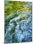 USA, Washington State. Olympic National Park, Sol Duc River abstract-Ann Collins-Mounted Photographic Print