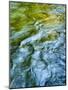 USA, Washington State. Olympic National Park, Sol Duc River abstract-Ann Collins-Mounted Photographic Print