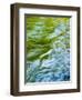 USA, Washington State. Olympic National Park, Sol Duc River abstract-Ann Collins-Framed Photographic Print