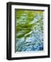 USA, Washington State. Olympic National Park, Sol Duc River abstract-Ann Collins-Framed Photographic Print