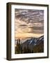 USA, Washington State, Olympic National Park, View towards Hurricane Ridge-Ann Collins-Framed Photographic Print