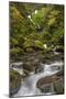 USA, Washington State, Olympic NP. Bunch Creek Falls and rapids.-Jaynes Gallery-Mounted Photographic Print