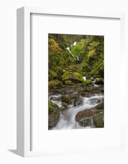 USA, Washington State, Olympic NP. Bunch Creek Falls and rapids.-Jaynes Gallery-Framed Photographic Print