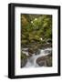 USA, Washington State, Olympic NP. Bunch Creek Falls and rapids.-Jaynes Gallery-Framed Photographic Print