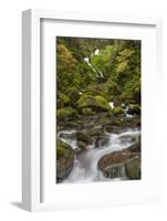 USA, Washington State, Olympic NP. Bunch Creek Falls and rapids.-Jaynes Gallery-Framed Photographic Print