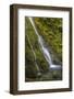 USA, Washington State, Olympic NP. Madison Falls and pool.-Jaynes Gallery-Framed Photographic Print