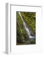 USA, Washington State, Olympic NP. Madison Falls and pool.-Jaynes Gallery-Framed Photographic Print