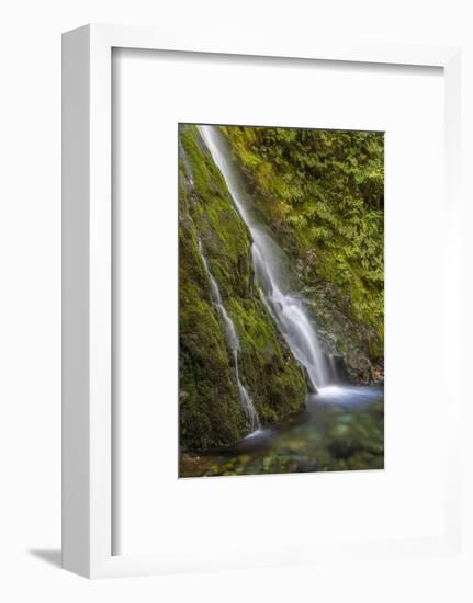 USA, Washington State, Olympic NP. Madison Falls and pool.-Jaynes Gallery-Framed Photographic Print