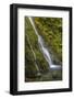 USA, Washington State, Olympic NP. Madison Falls and pool.-Jaynes Gallery-Framed Photographic Print