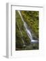 USA, Washington State, Olympic NP. Madison Falls and pool.-Jaynes Gallery-Framed Photographic Print