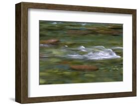 USA, Washington State, Olympic NP. Skokomish River rapids.-Jaynes Gallery-Framed Photographic Print