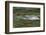 USA, Washington State, Olympic NP. Skokomish River rapids.-Jaynes Gallery-Framed Photographic Print