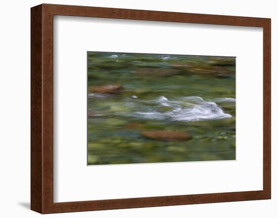 USA, Washington State, Olympic NP. Skokomish River rapids.-Jaynes Gallery-Framed Photographic Print