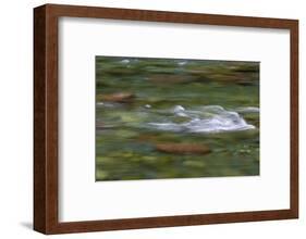 USA, Washington State, Olympic NP. Skokomish River rapids.-Jaynes Gallery-Framed Photographic Print