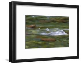 USA, Washington State, Olympic NP. Skokomish River rapids.-Jaynes Gallery-Framed Photographic Print