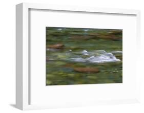 USA, Washington State, Olympic NP. Skokomish River rapids.-Jaynes Gallery-Framed Photographic Print