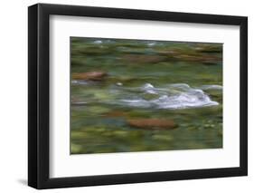 USA, Washington State, Olympic NP. Skokomish River rapids.-Jaynes Gallery-Framed Photographic Print