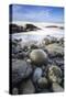 USA, Washington State, Olympic NP. Sunrise on coast beach and rocks.-Jaynes Gallery-Stretched Canvas