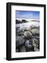 USA, Washington State, Olympic NP. Sunrise on coast beach and rocks.-Jaynes Gallery-Framed Photographic Print