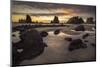 USA, Washington State, Olympic NP. Sunrise on coast beach and rocks.-Jaynes Gallery-Mounted Photographic Print