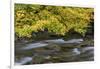 USA, Washington State, Olympic NP. Vine maples overhang and Sol Duc River in autumn.-Jaynes Gallery-Framed Photographic Print