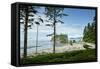 USA, Washington State. Olympic Peninsula, Ruby Beach-Michele Molinari-Framed Stretched Canvas