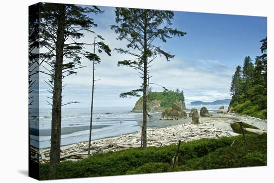 USA, Washington State. Olympic Peninsula, Ruby Beach-Michele Molinari-Stretched Canvas