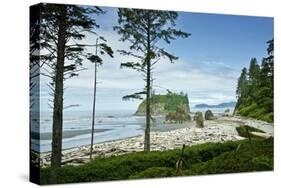 USA, Washington State. Olympic Peninsula, Ruby Beach-Michele Molinari-Stretched Canvas