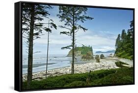 USA, Washington State. Olympic Peninsula, Ruby Beach-Michele Molinari-Framed Stretched Canvas