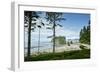 USA, Washington State. Olympic Peninsula, Ruby Beach-Michele Molinari-Framed Photographic Print