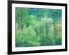 USA, Washington State, Pacific Northwest Preston and just leafing out Cottonwoods-Sylvia Gulin-Framed Photographic Print