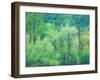 USA, Washington State, Pacific Northwest Preston and just leafing out Cottonwoods-Sylvia Gulin-Framed Photographic Print