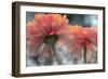 USA, Washington State, Pacific Northwest, Sammamish close-up of State Fair Zinnia-Sylvia Gulin-Framed Photographic Print