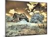 USA, Washington State, Palouse. Abandoned old homestead-Terry Eggers-Mounted Photographic Print