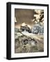 USA, Washington State, Palouse. Abandoned old homestead-Terry Eggers-Framed Photographic Print