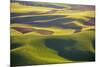 USA, Washington State, Palouse, Aerial, Rolling farmland-George Theodore-Mounted Premium Photographic Print