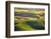USA, Washington State, Palouse, Aerial, Rolling farmland-George Theodore-Framed Photographic Print