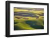 USA, Washington State, Palouse, Aerial, Rolling farmland-George Theodore-Framed Photographic Print