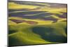 USA, Washington State, Palouse, Aerial, Rolling farmland-George Theodore-Mounted Photographic Print