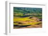 USA, Washington State, Palouse and Steptoe Butte State Park view of Wheat and Canola-Sylvia Gulin-Framed Photographic Print