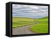 USA, Washington State, Palouse. Backcountry road leading through winter and spring wheat fields-Terry Eggers-Framed Stretched Canvas