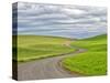 USA, Washington State, Palouse. Backcountry road leading through winter and spring wheat fields-Terry Eggers-Stretched Canvas