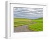 USA, Washington State, Palouse. Backcountry road leading through winter and spring wheat fields-Terry Eggers-Framed Photographic Print