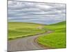 USA, Washington State, Palouse. Backcountry road leading through winter and spring wheat fields-Terry Eggers-Mounted Photographic Print