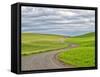 USA, Washington State, Palouse. Backcountry road leading through winter and spring wheat fields-Terry Eggers-Framed Stretched Canvas